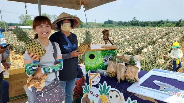 Lin Hui-shan (left) is working with farmers from Gaoshu Township in Pingtung County to promote the sale of “owl pineapples” (grown in coordination with protection of the collared scops owl) through the PX Mart supermarket chain. (courtesy of Lin Hui-shan)