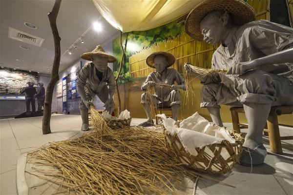 竹子湖蓬萊米原種田故事館陳列古早的農耕景象與農具。