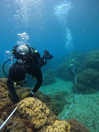 A team organized by local dive shop CTdiver conducts a survey of coral reefs in southern Taiwan’s Kenting National Park as part of the Ocean Conservation Administration’s Coral Guardian program. (Courtesy of OCA)