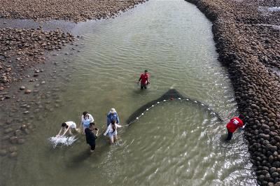 民眾體驗用牽網捕魚。