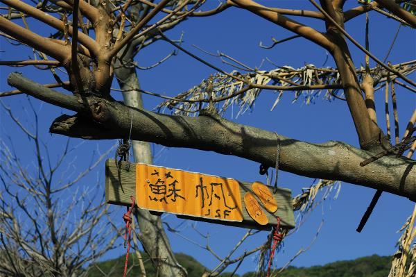 難忘年輕時在夏威夷求學的日子，蘇達貞在花蓮鹽寮打造太平洋西岸的夏威夷，成立「蘇帆海洋基金會」。