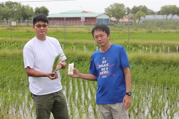 花蓮農改場農藝研究室副研究員兼主持人黃佳興(右)和助理研究員李睿家(左),是花蓮26號正式受名的最大推手。
