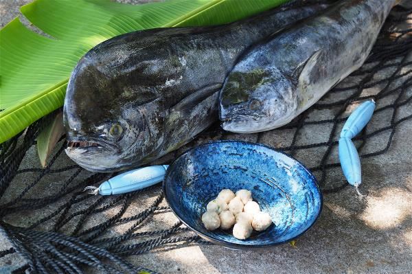 鬼頭刀經常以延繩釣捕撈，是「願者上鉤」的友善漁法，多以魚排、魚鬆、魚丸等形式出現在餐桌。