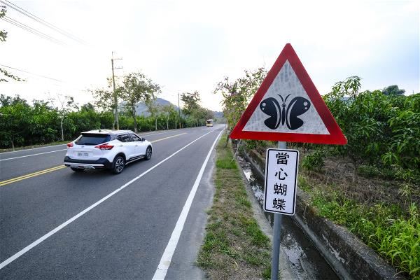 茂林周邊道路設立的當心蝴蝶路牌、國道讓蝶道等措施，都是台灣人守護紫斑蝶的心意。