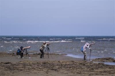 Many of Taiwan’s people are birdwatchers and bird lovers who willingly do their bit to protect seabird habitats.