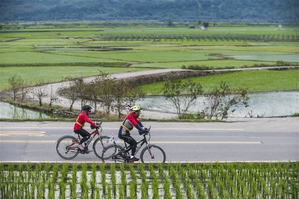 穿梭於花東縱谷間的公路,兩旁是山、水與農村田園交織成的秀麗風光。