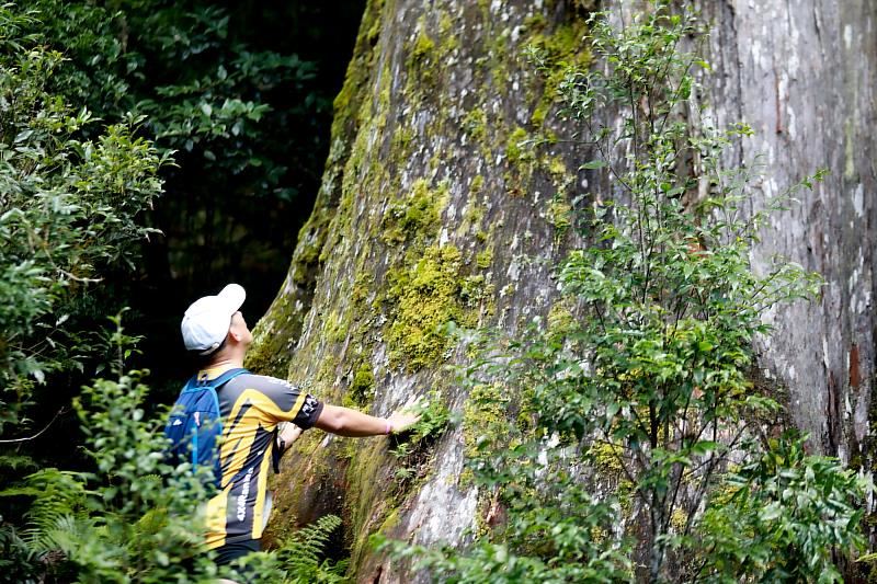 2023臺灣棲蘭林道越野,今年將於本週六9月16日在宜蘭縣大同鄉棲蘭山林區開跑。
