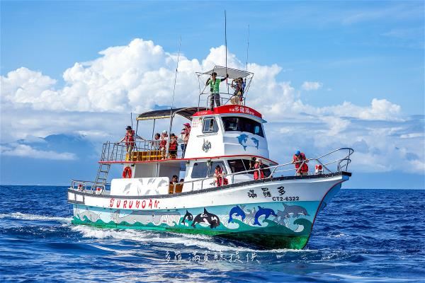 The Turumoan carries tourists and volunteers 12 nautical miles out to sea to look for sperm whales.