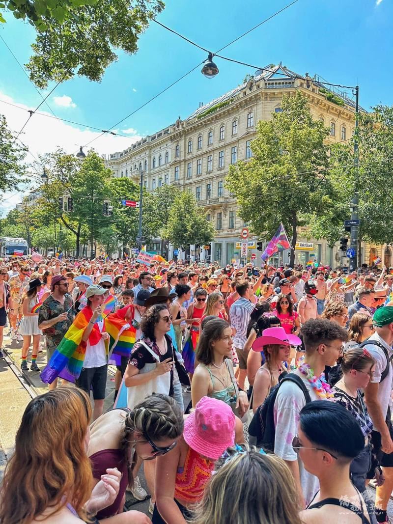 Vienna Parade 外交部NGO雙語網站