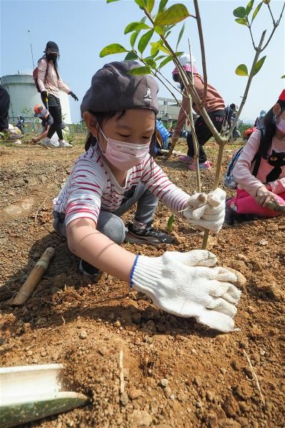 種樹，為地球降溫：公私協力播下永續種子