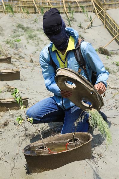 慈心與仁舟社會企業共同研發的水寶盆，大大提高海岸造林的成功率，又能自然分解，不造成環境額外的負擔。