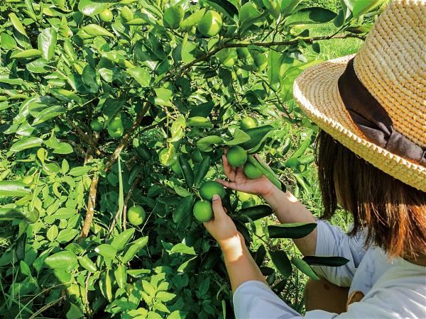 柯亞走進台灣土地深處，一頭探入深究水果的奧祕。（柯亞提供）