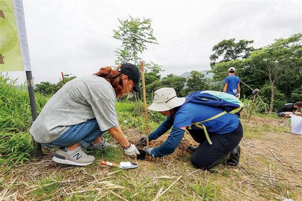 As well as creating a green office, Winkler Partners has taken part in an afforestation project run by the Taiwan Forestry Bureau, planting a swatch of forest in Taipei’s Xindian District. (courtesy of Winkler Partners)