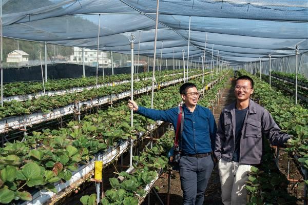 每到產季，必定親赴產地拜訪農友的許哲瑋（左），視農友為一同成長的合作夥伴。
