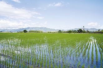 Felnglin is located in an agricultural landscape. (Photo by Chin Hung-hao)