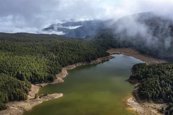 走進太平山翠峰湖:傾聽全球第一條寧靜步道