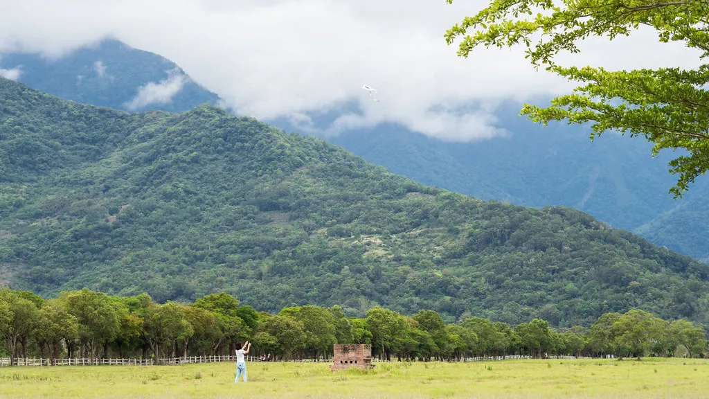 野灣非營利野生動物醫院位於台東池上。圖片來源：綦孟柔 提供