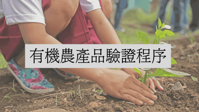 有機農產品驗證程序。製圖/蔡佩珊