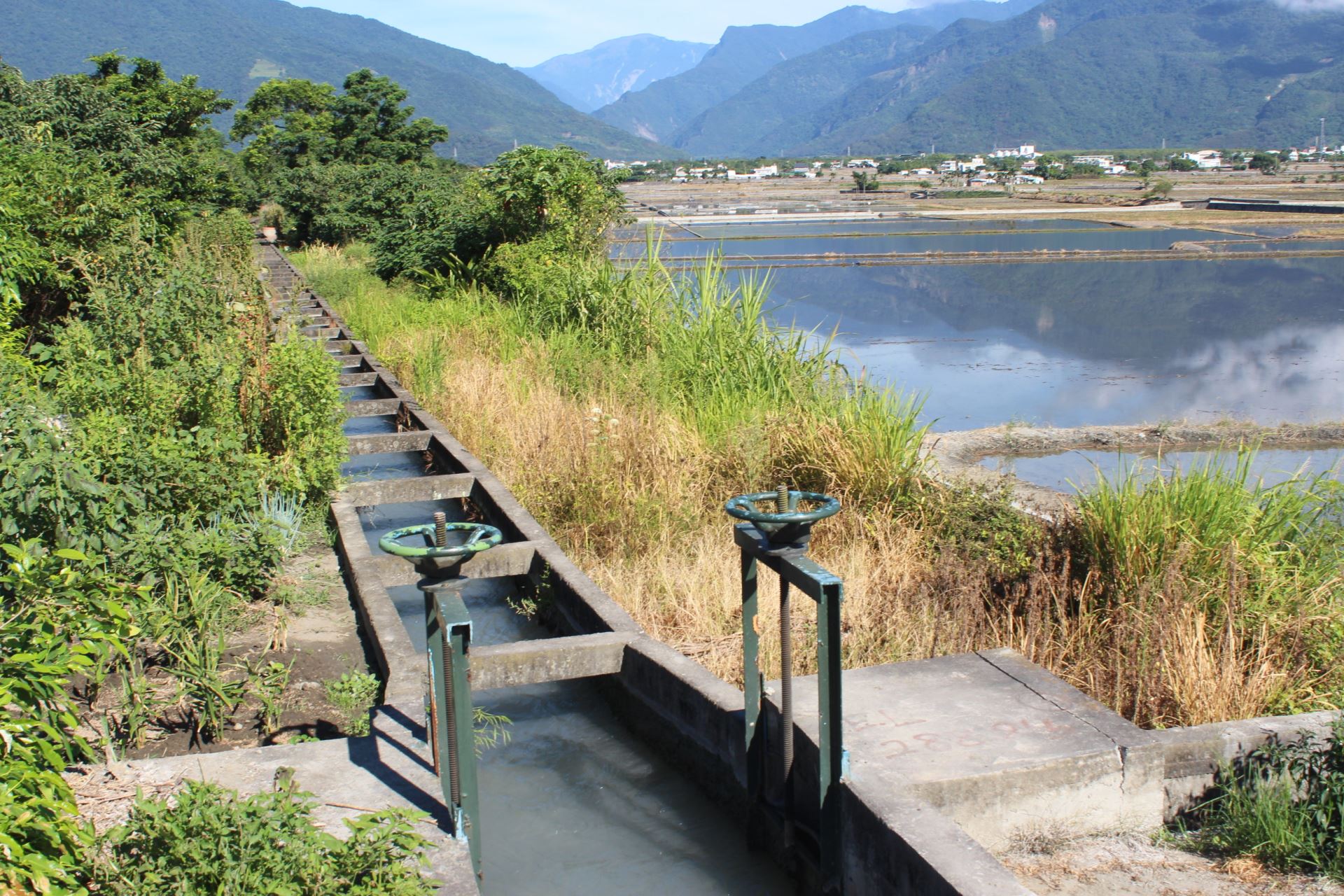 海岸山脈步道有機會拜訪台東池上新開園老田區文化景觀，走訪水圳路。攝影：廖靜蕙