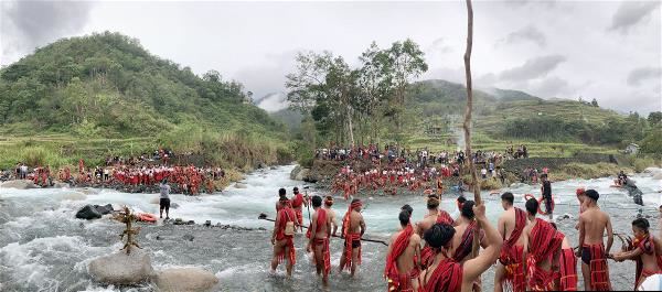 菲律賓用梯田復育解決經濟、社會發展的問題。稻米收穫後，伊富高人舉行在水中拔河的祭儀與慶祝活動「punnuk」。（楊曉珞攝）