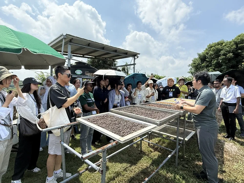 認識咖啡豆的各種烘焙方法