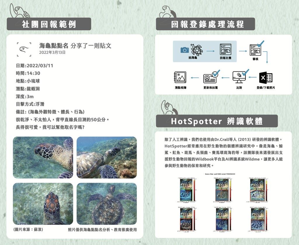 民眾若發現海龜就可至社團進行回報，「海龜點點名」將定期彙整資料、進行分析，也會回覆回報者其拍攝到之海龜名字為何、是否為新建檔之海龜等。圖片來源：海龜點點名提供