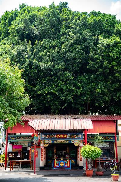 台灣彰化永靖的風景透過文字,讓世界的讀者感受到小鎮的魅力。