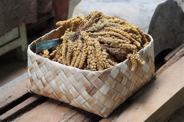 Practical woven shell ginger containers like this one are used by Bunun people in daily life.