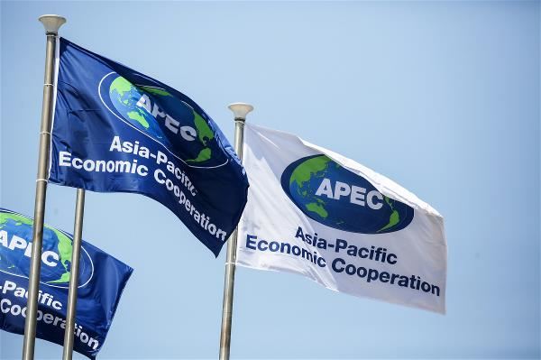 台灣參與APEC 30年：在亞太區域持續發揮影響力
