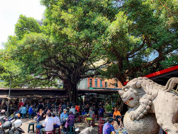 台北慈聖宮前的百年榕樹下，有連綿的攤販聚集，樹蔭下錯落的摺疊桌和塑膠椅，顧客吃的是在地老滋味。