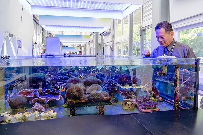 NMMST Director General Wang Ming-yuan checks on tanks where corals are grown for replanting in the wild. (Photo by Chin Hung-hao)
