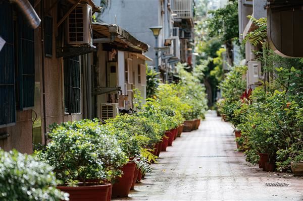 Lines of potted plants bear witness to the efforts of Mingsheng Community residents to greenify their environment.