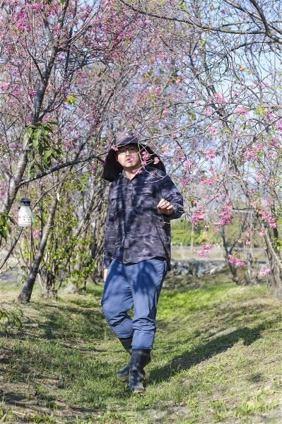 種原中心成功栽種低需冷性的溫帶果樹,若全球暖化持續發生,這些在台灣的種原將能提供高緯度地區國家種植。(莊坤儒攝)
