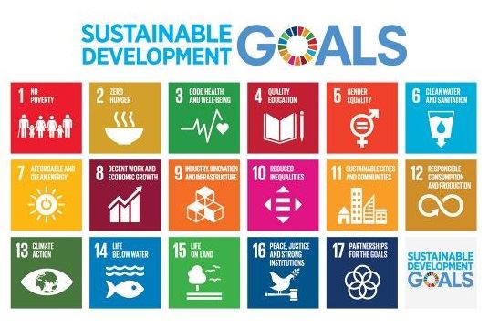 「2030永續發展目標」（Sustainable Development Goals, SDGs），SDGs的17項核心目標。