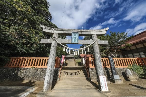 擁有千年歷史的御崎神社坐落於茂密的楠木群中。