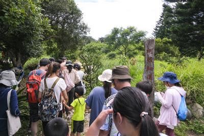 民眾在新屋的蚵殼細道認識濱海植物。