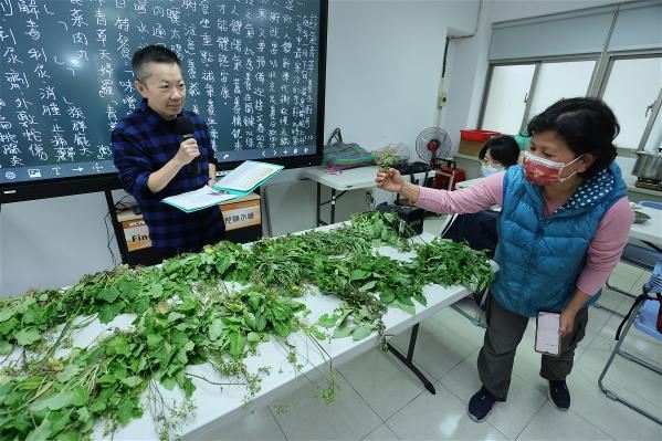 在李嘉梅(上圖左)的「節氣青草 養生廚房」教室中,學員藉由辨識青草、品嚐青草料理,讓青草重回到日常生活中。