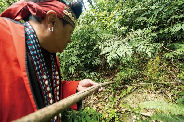 汪士偉示範獵人如何觀察環境，設置陷阱。