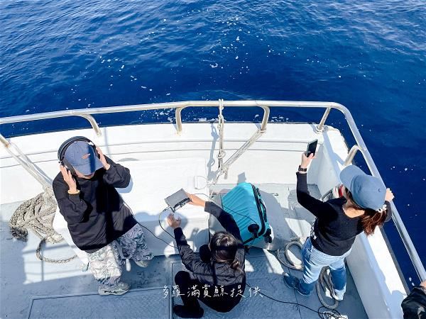 Volunteers use underwater microphones to record cetacean vocal patterns. (photo by Linus Yu)
