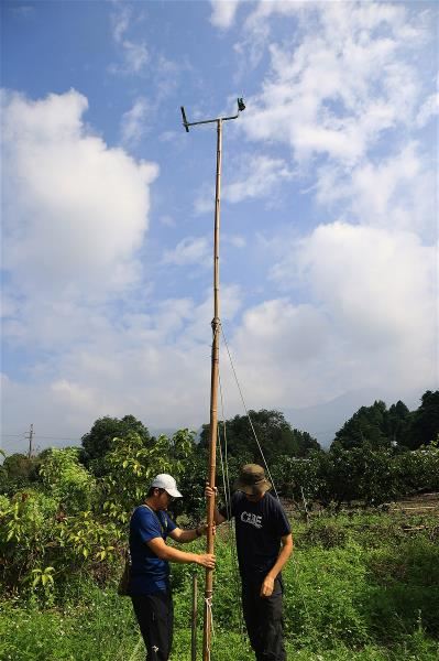 There are three benefits to setting up raptor perches equipped with cameras: First, they help the birds catch rodents, reducing damage to crops. Second, they enable farmers to know what kinds of birds are active in their fields. Third, they collect data on the range of eastern grass-owl populations.