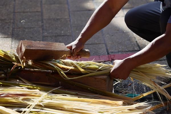 剝皮後的月桃纖維，必須經過反覆的搥打、曝曬，才能用於打繩。