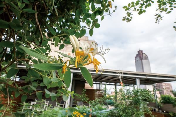 In Pursuit of Net Zero:Winkler Partners Achieves Carbon Neutrality