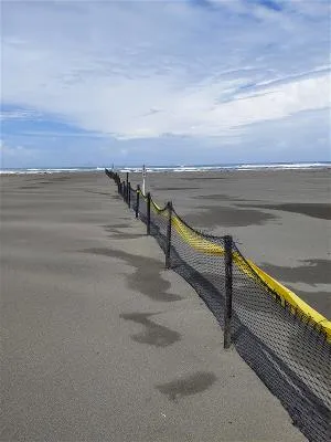 台灣各地鳥會在小燕鷗繁殖地架設圍籬，防止人車及流浪狗的入侵，為小燕鷗營造安心的棲所。