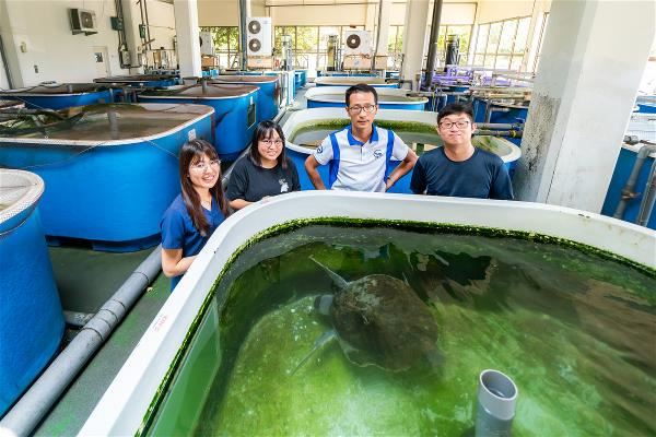國立海洋生物博物館生物馴養組助理研究員李宗賢(右2)與團隊夥伴,全天候悉心照料受傷的海龜。