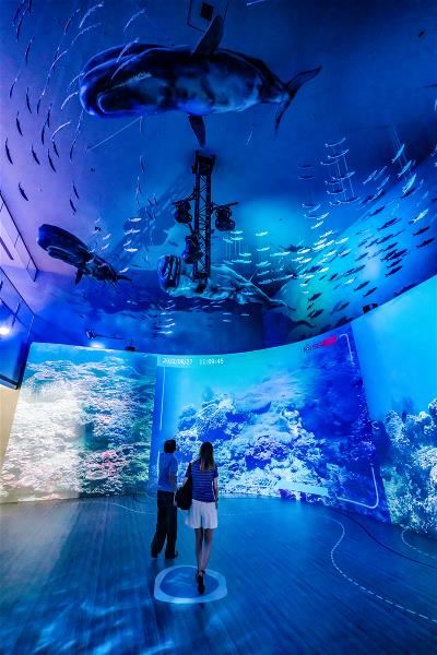 At the National Museum of Marine Science and Technology, located close by the Wanghaixiang Chaojing Bay Conservation Area, visitors can see undersea scenery in real time via underwater cameras.