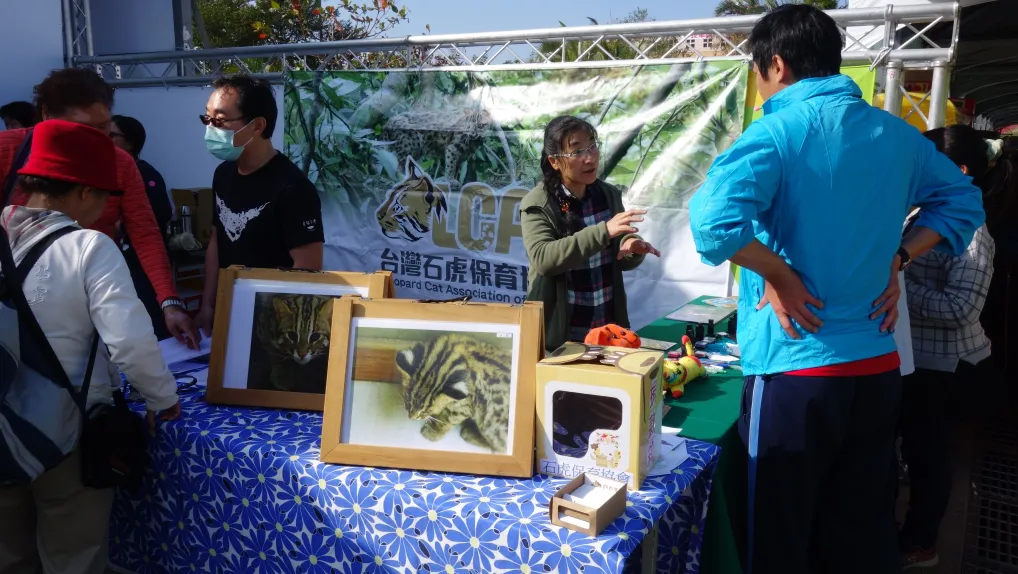 陳美汀向民眾介紹石虎。照片提供：台灣石虎保育協會