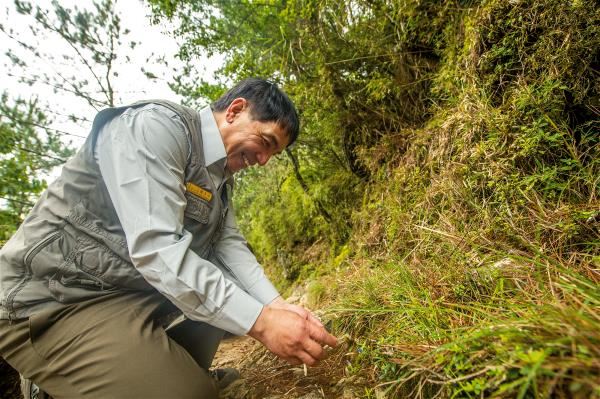 擔任了26年生態解說員後轉考巡查員的蕭玉山，不僅熟悉玉山的地形環境，對動植物更是如數家珍，巡查時總會特別關注路線上生態的變化。