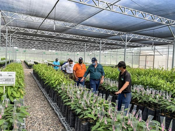 宏都拉斯農牧部長、次長及觀光部長在計劃期間前來參觀健康種苗生產情形。