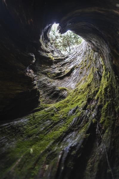 關掉擴音喇叭,在山中傾聽風、水、木、鳥等自然聲響,找回和土地的連結。