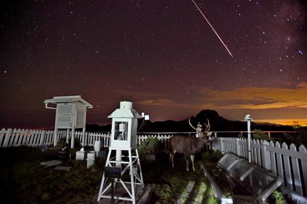 A once-in-a-lifetime shot.
